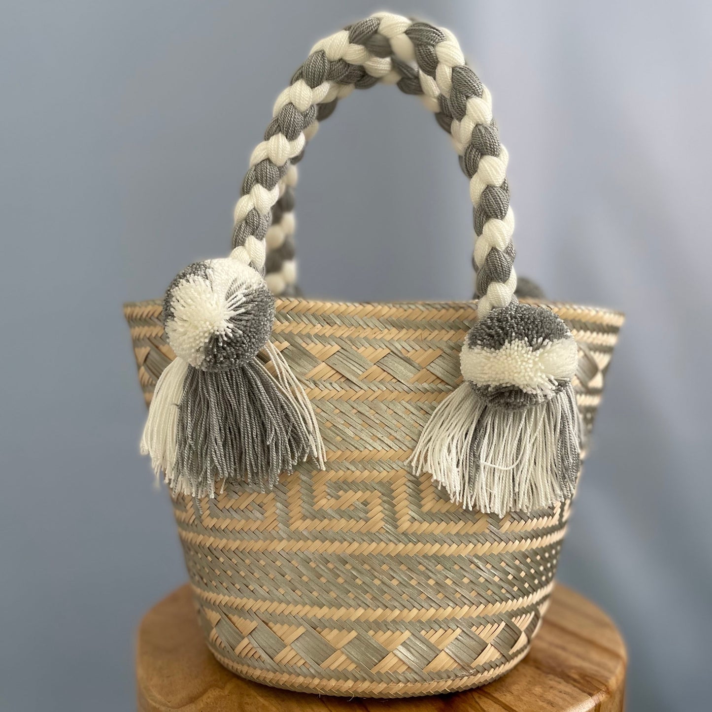 Silver Alegría Bag - Mini